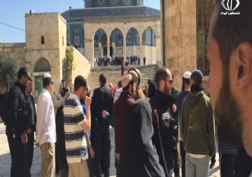 حملة اعلامية اسرائيلية تحريضية ضد موظفي الاوقاف الاسلامية بالمسجد الأقصى - زينب أبو ضاهر - 19 - 8 - 2016