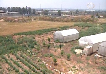 آثار المعسكر التدريبي التابع للإحتلال داخل حرم جامعة خضوري في طولكرم على البيئة التعليمية - 7 - 5 - 2015 - أمون الشيخ