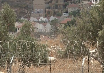 الإغاثة الزراعية تشق طرقاً لحماية أراضي مهددة بالمصادرة جنوب طولكرم -  أمون الشيخ - 21 - 7 - 2016