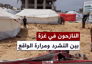 #تقرير | مراسل فلسطين اليوم  أحمد البرش يرصد أوضاع النازحين في ساحة الجندي المجهول بغزة ويكشف عن معاناتهم في ظل نقص الغذاء والدواء