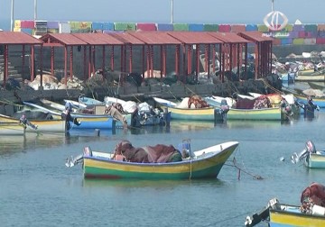 الصيادون يرفضون دخول البحر إحتجاجا على اغتيال الصياد أبو ريالة – 8 – 3 – 2015 - يوسف أبو كويك