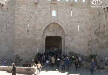 توقف خدمة البريد شرقي المدينة المقدسة منذ نحو اسبوعين – 10  2 – 2015 – جلال قبطان