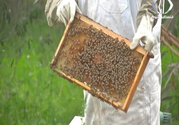 من الهواية الى الاستثمار ... 