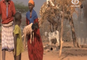 الأمم المتحدة: الوضع الإنساني في الصومال بعد 4 أعوام من المجاعة ما زال مقلقا – 07 – 09 – 2015