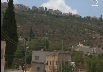 خسائر كبيرة نتيجة منع الاحتلال المزراعين من قطف محاصيلهم خلف الجدار الفصل العنصري - أمون الشيخ - 15 - 8 - 2016