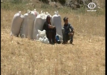 زرع الألغام...طريقة جديدة ينتهجها الاحتلال لتهجير المواطنين شرق يطا جنوب الخليل – 8 – 5 – 2015 - فداء نصر