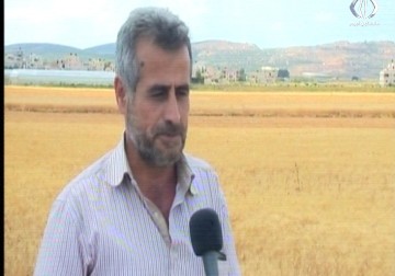 بلدية جنين ومركز الباشا العلمي ينفيان تهديد الثعالب للمزارع والمزارعين - 29 - 5 - 2016 