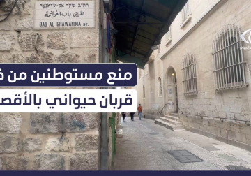 " لحقت يلي حامل الماعز ورجعتو" ... الحاج سعيد أبو نجمة أحد سكان البلدة القديمة في مدينة القدس يروي كيف استطاع منع احد المستوطنيين من  إدخال قربان لذبحه داخل باحات المسجد الأقصى المبارك