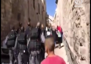 المستوطنون يقتحمون المسجد الأقصى المبارك والمصلون يتصدون بهتافات التكبير – 11 – 8 – 2015 – أماني عثمان
