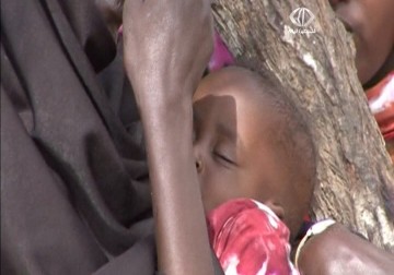 مئتي ألف طفل مهددون بالموت بسبب المجاعة وسوء التغذية في الصومال – 4 – 6 – 2014 -  محمد عبد الحليم