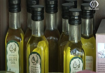 موسم زيت الزيتون في الضفة الغربية – رغدة عتمة