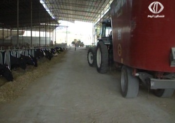 المزارعون في الضفة يعترضون على قرار وزارة المالية بجباية ضريبة الدخل منهم منذ 2008 وحتى 2014 – 16 – 09 – 2015 – أمون الشيخ