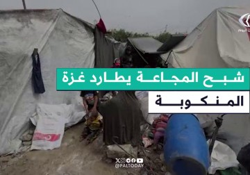 أهالي غزة يلجؤون لاستصلاح الدقيق الفاسد مع تفاقم الأزمة ومخاوف المجاعة.