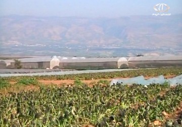 خسائر وأضرار كبيرة طالت القطاع الزراعي في فلسطين جراء المنخفض الجوي - 14 - 1 - 2015 - مراد ابوعمر