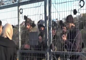 بيتسيلم: اعتداء الجنود الإسرائيليين على المدنيين الفلسطينيين مستعينين بالكلاب – 30 – 1 – 2015 –  فاطمة عبد الجواد