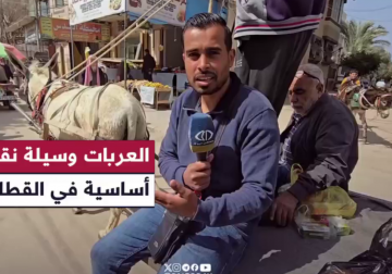 باتت العربات التي تجرها الحيوانات وسيلة شبه أساسية للمواصلات في قطاع غزة