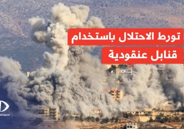 دلائل تثبت تورط جيش الاحتلال الإسرائيلي باستخدام قنابل عنقودية في استهداف المدنيين خلال الحرب.