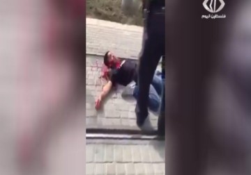 فيديو إعدام الطفل  أحمد مناصرة يشعل مواقع التواصل الاجتماعي - 13- 10- 2015 - فاتن الصالح