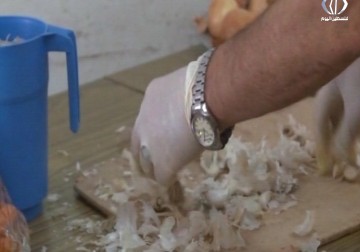 تكية رمضان في مخيم قلنديا خير متواصل منذ سبعة أعوام - 29 - 6 - 2016