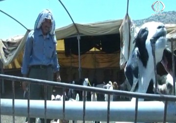 سينما متنقلة في الأغوار تهدف لإيصال السينما لكافة المناطق المهمشة في الضفة – 29 – 09 – 2016 - 