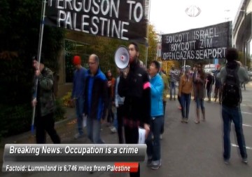 جامعة نيويورك تنضم إلى حملة مقاطعة إسرائيل - 9 – 4 – 2015 – هادي خزعل