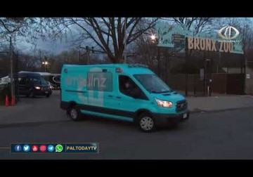 حديقة حيوان في نيويورك تعلن عن إصابة نمور بفيروس كورونا وزارة الزراعة تنصح بتقليل الاتصال بالحيوانات