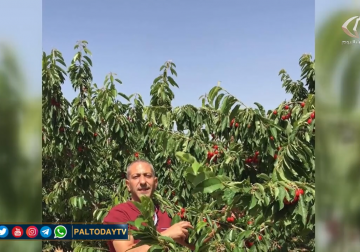 سامر العربيد يقبع في المستشفى بوضع صحي خطير نتيجة تعذيب جهاز الشاباك له .. تقرير: أماني عثمان