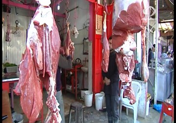 لحوم خيول تباع في اسواق قطاع غزة – 26 – 2 – 2015 - اكرم دلول