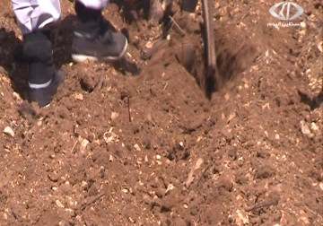 مزارعون يناشدون لحماية منطقة الينابيع جنوب سلفيت -  8 - 4 - 2016