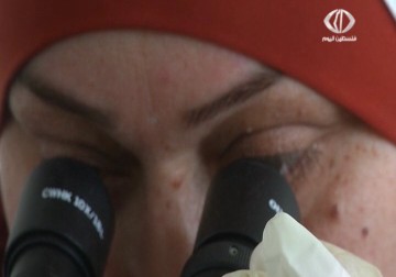 الكشف عن مادة  كيميائية تسمى BMOV لعلاج للسكري – 13 – 5 – 2015 - رمزي البيروتي 