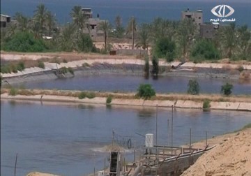 طريقة جديدة ومبتكرة لمعالجة مياه الصرف الصحي في قطاع  غزة باستخدام مواد طبيعة - 30 - 11 - 2014 - فاتن الصالح