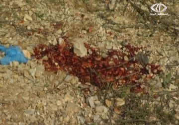 استشهاد الأسيرة المحررة أمل طقاطقة إثر إطلاق الرصاص قرب مدينة بيت لحم  - 1 – 12 – 2014 – أماني الحسين