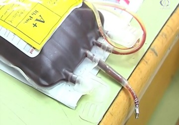 أكثر من 1600 حالة إصابة جديدة بمرض السرطان في غزة سنويا - فاتن الصالح - 1 - 6 - 2016