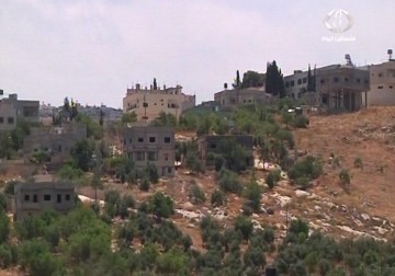 خنازير المستوطنين يتلفون دونمات زراعية في قرية عورتا في نابلس – 31  - 5 – 2015 – زينب أبو ضاهر