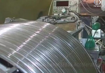 كارثة بيئية تهدد بانقراض قسم كبير من المزروعات في منطقة واد المطوي غرب سلفيت  - فاتن الصالح - 19 - 6 - 2016