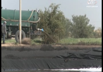 تسرب مياه الصرف الصحي يسلب حي المواصي غربي خانيونس خضرتها ويلوث مياهها – 10 – 2 – 2015 - مثنى النجار