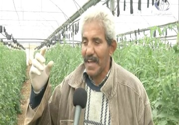 مزارعو شمال الضفة يشكون ارتفاع أسعار بذور الزراعة - أمون الشيخ - 13 - 12 - 2016