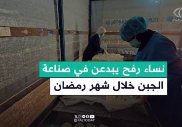 دور المرأة الفلسطينية في تعزيز صمود المجتمع من خلال صناعة الجبن في رفح