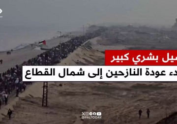 مراسل فلسطين اليوم يرصد عودة النازحين المهجرين إلى شمال قطاع غزة