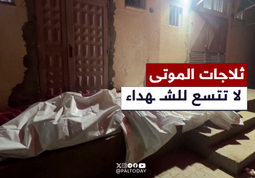 فلسطين اليوم توثّق تجميع جثامين الشهـ ـداء جانب مستشفى شـ ـهداء الأقصى لحين دفنها بسبب عدم توفر أماكن في ثلاجات الموتى