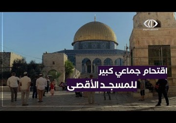 القدس المحتلة | جماعات 