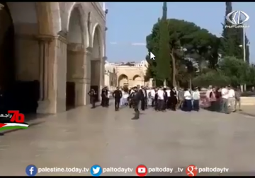 تقرير | ارتفاع وتيرة اقتحامات الأقصى منذ نقل السفارة الأمريكية إلى القدس