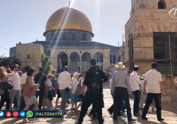 أكثر من 150 مستوطنا يقتحمون ساحات المسجد الأقصى وسط حماية شرطة الاحتلال .. تقرير: دعاء سليم