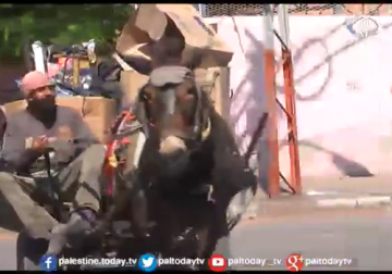 تقرير | أزمة مالية خانقة تعانيها البلديات انعكست على رواتب الآلاف من موظفيها 