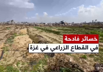خسائر فادحة لحقت بالقطاع الزراعي في الشيخ عجلين غرب مدينة غزة.