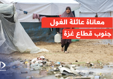 #تقرير | 6 أطفال يواجهون قسوة الحياة وحدهم دون معيل.. مراسل فلسطين اليوم عماد دلول يسلط الضوء على المعاناة التي يعيشها أبناء عائلة الغول في رفح جنوبي قطاع غزة عقب ارتقاء الوالدين