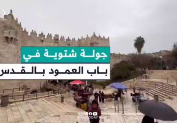 عدسة فلسطين اليوم ترصد الأجواء الشتوية في باب العامود بالقدس المحتلة