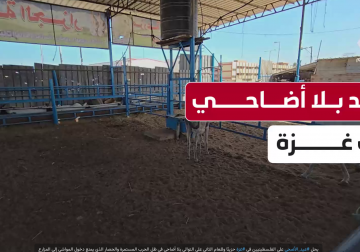 #تقرير | يحل #عيد_الأضحى على الفلسطينيين في #غزة حزينًا وللعام الثاني على التوالي بلا أضاحي في ظل الحرب المستمرة والحصار الذي يمنع دخول المواشي إلى المزارع  مراسلنا أنس بركة زار ٱحد المزارع وعاد لنا بالتقرير التالي..