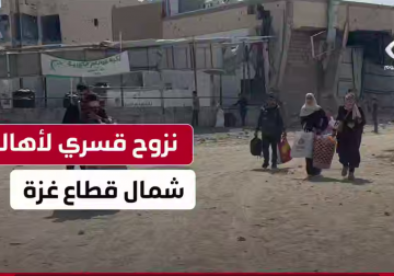 #تقرير | مراسل فلسطين اليوم أحمد البرش يواكب نزوح أهالي شمالي #قطاع_غزة بعد أن أجبرهم الاحتلال على النزوح القسري في ظل القصف الجوي والمدفعي على مناطق وأحياء شمالي القطاع