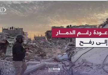 فلسطين اليوم ترصد عودة العائلات الفلسطينية إلى رفح رغم الدمار الكبير